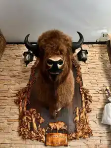 Complex Kamenyuky - 60