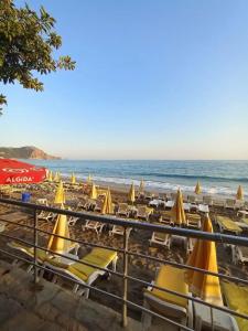 Muz - All Inclusive - 29