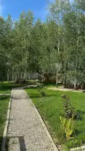 Bereza Country - 72