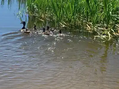 Panskiy dvor Tourist base - 45