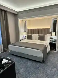 Cosmos Selection Saint-Petersburg Italyanskaya - 76