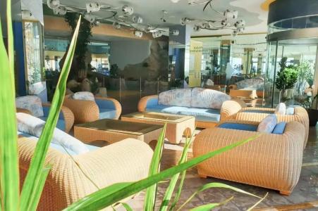 Kaktus Kaktus Albir - 37