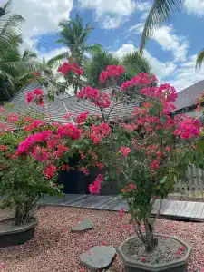 Constance Ephelia, Mahe - 9