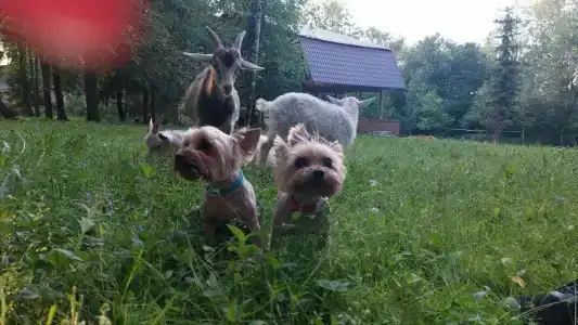 Ethno-Usadba Tourist base - 28