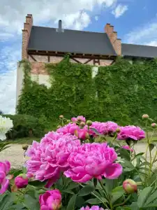 La Ferme de Reve - 20