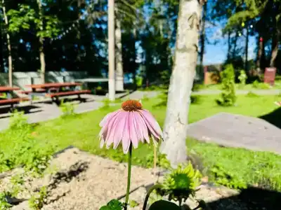 Domiki Recreation Camp - 33