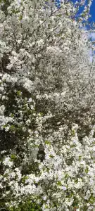 Narochanka Sanatorium - 64