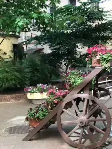 Атлантика - 85