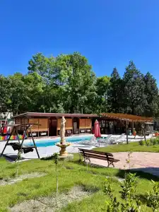 Romashka - 1