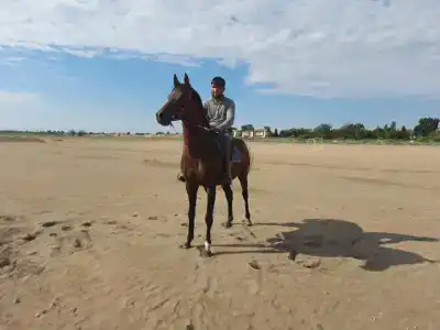 Park-otel Rubas - 46