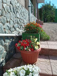 Guest House Arbat - 5