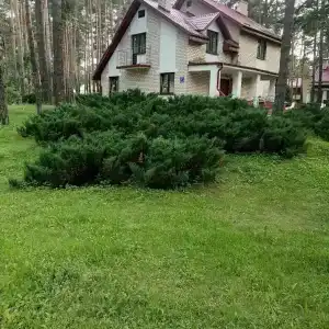 Sanatorii Energetik - 44