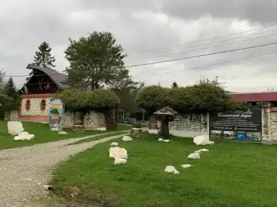 Snezhnyy Bars - 2
