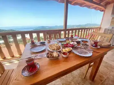 Istlada Tas EV Apart - 2