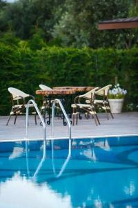 Assos Barbarossa - Special Class - 35