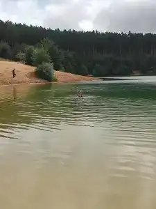 Park semeynogo otdyha Andreevskiy - 68