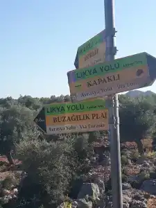 Istlada Tas EV Apart - 21