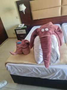 Cataract Layalina Naama Bay - 39