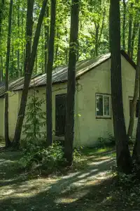 Baza Otdykha Monte-Karlo - 87