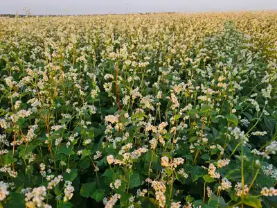 ZaGrad Tourist base - 58