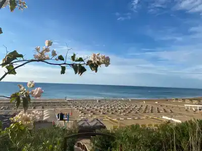 Tui Magic Life Jacaranda - 37