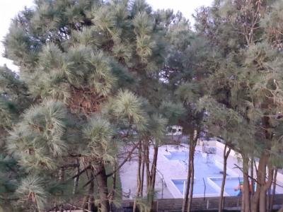 Guria Palace - 46