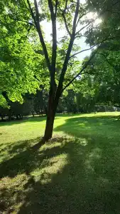 Nagornoe Holiday Home - 39