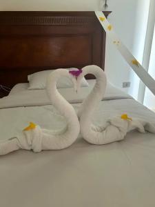 Sharm Bride Resort Aqua & Spa - 13