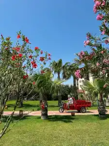 Selectum Noa Belek (Ex. Cesar's Temple De Luxe) - 38