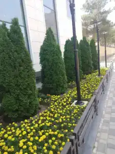 Aysberg Kaspiysk - 14