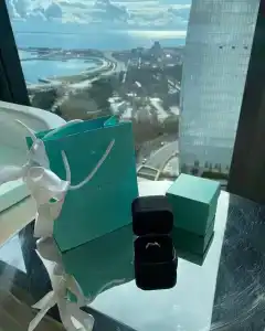 Fairmont Baku - Flame Towers - 49