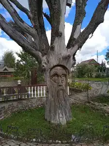 Eko-kompleks Nikolaevskie Prudy - 92