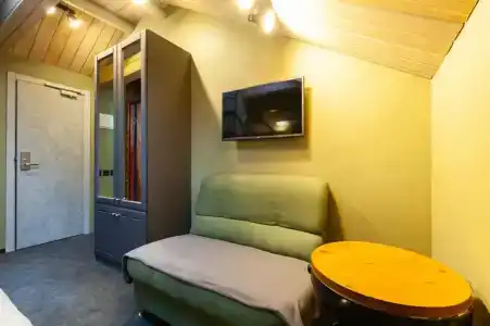 Wellion Baumansky - 47