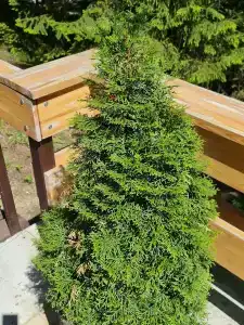 Vesna Tourist base - 12