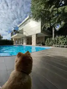 Arfa Park-hotel - 18