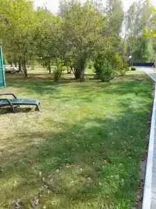 Berezovaya roshcha - 98
