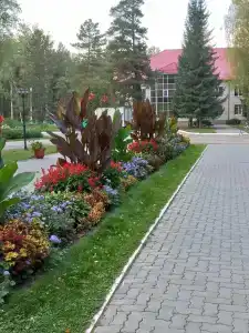 Berezovaya roshcha - 38
