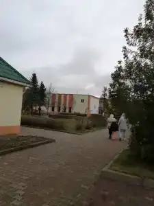 Detskiy Sanatoriy "Rosinka" - 80