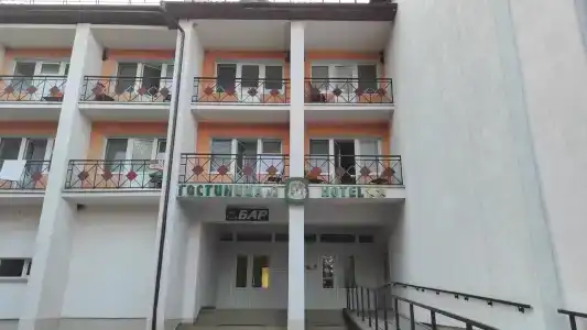 Belovezhskaya pushcha №2 - 34