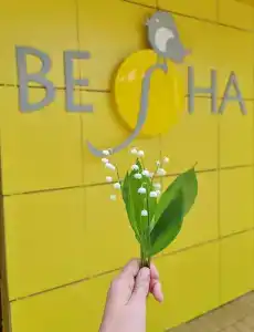 Vesna Tourist base - 34