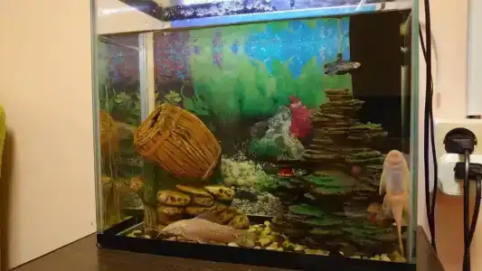 Gostinica Arina - 10