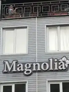 Magnoliya - 11