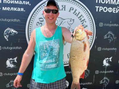 Club Gold Fish - 94