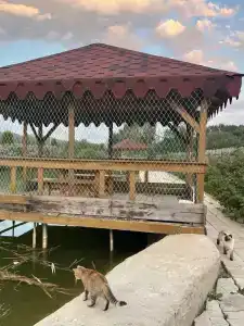 Zolotaya Rybka Resort - 10