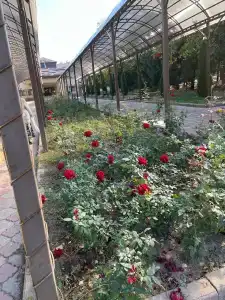 Sanatoriy Kazakhstan - 15