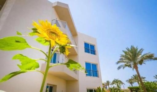 Seagull Beach Resort - Families and Couples Only - 24