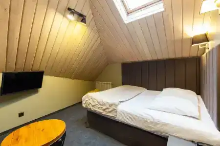 Wellion Baumansky - 5