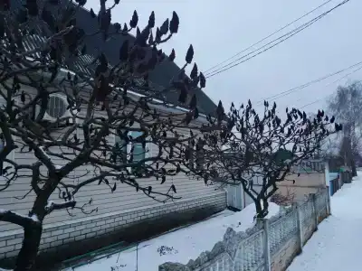 Gostinitsa Miloslavskij - 27