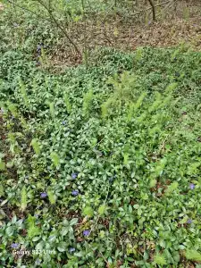 Kikino Na Vele Guest House - 27