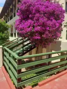 Ozs İncekum Beach Resort - 12